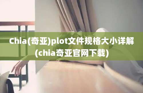 Chia(奇亚)plot文件规格大小详解(chia奇亚官网下载)