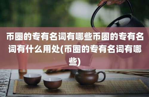 币圈的专有名词有哪些币圈的专有名词有什么用处(币圈的专有名词有哪些)