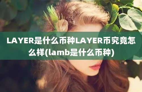 LAYER是什么币种LAYER币究竟怎么样(lamb是什么币种)