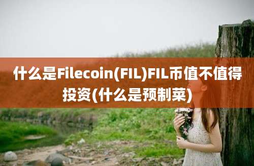 什么是Filecoin(FIL)FIL币值不值得投资(什么是预制菜)