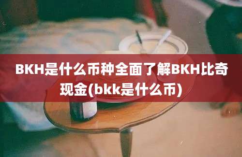 BKH是什么币种全面了解BKH比奇现金(bkk是什么币)