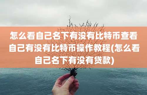 怎么看自己名下有没有比特币查看自己有没有比特币操作教程(怎么看自己名下有没有贷款)