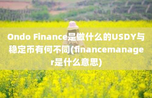 Ondo Finance是做什么的USDY与稳定币有何不同(financemanager是什么意思)