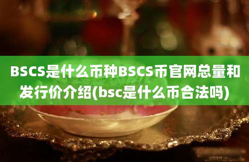 BSCS是什么币种BSCS币官网总量和发行价介绍(bsc是什么币合法吗)