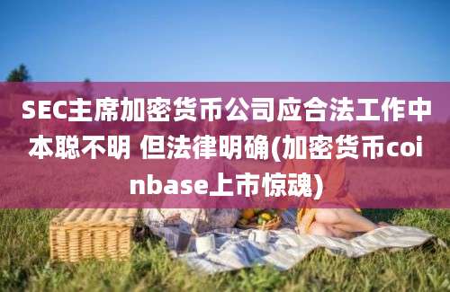 SEC主席加密货币公司应合法工作中本聪不明 但法律明确(加密货币coinbase上市惊魂)