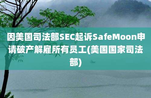 因美国司法部SEC起诉SafeMoon申请破产解雇所有员工(美国国家司法部)