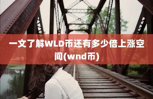 一文了解WLD币还有多少倍上涨空间(wnd币)