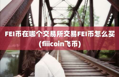 FEI币在哪个交易所交易FEI币怎么买(fiiicoin飞币)