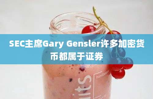 SEC主席Gary Gensler许多加密货币都属于证券