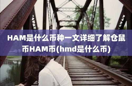 HAM是什么币种一文详细了解仓鼠币HAM币(hmd是什么币)