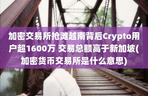 加密交易所抢滩越南背后Crypto用户超1600万 交易总额高于新加坡(加密货币交易所是什么意思)