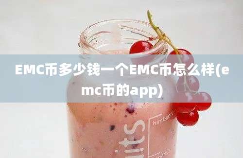 EMC币多少钱一个EMC币怎么样(emc币的app)