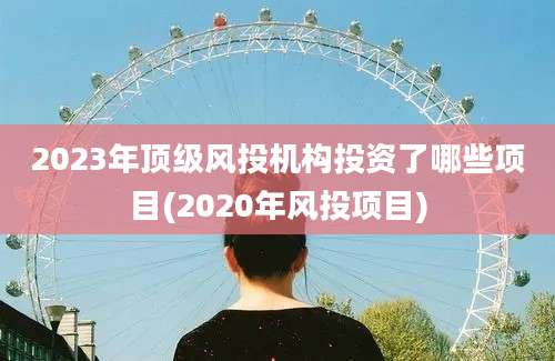 2023年顶级风投机构投资了哪些项目(2020年风投项目)