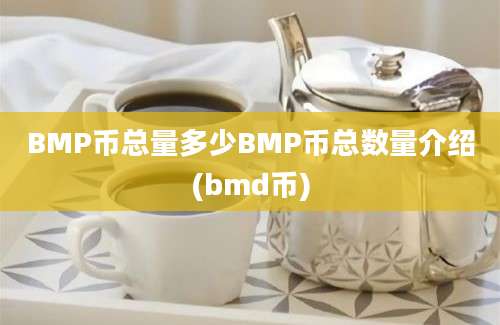 BMP币总量多少BMP币总数量介绍(bmd币)