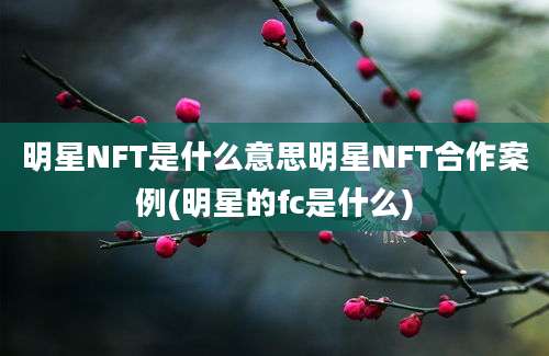 明星NFT是什么意思明星NFT合作案例(明星的fc是什么)