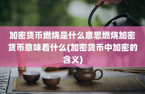 加密货币燃烧是什么意思燃烧加密货币意味着什么(加密货币中加密的含义)