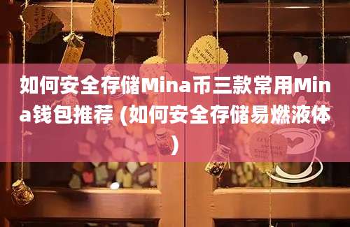 如何安全存储Mina币三款常用Mina钱包推荐 (如何安全存储易燃液体)