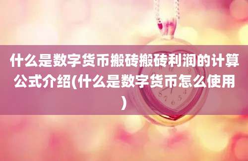 什么是数字货币搬砖搬砖利润的计算公式介绍(什么是数字货币怎么使用)