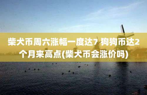 柴犬币周六涨幅一度达7 狗狗币达2个月来高点(柴犬币会涨价吗)