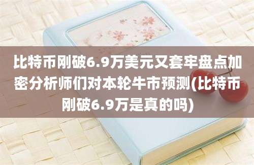 比特币刚破6.9万美元又套牢盘点加密分析师们对本轮牛市预测(比特币刚破6.9万是真的吗)