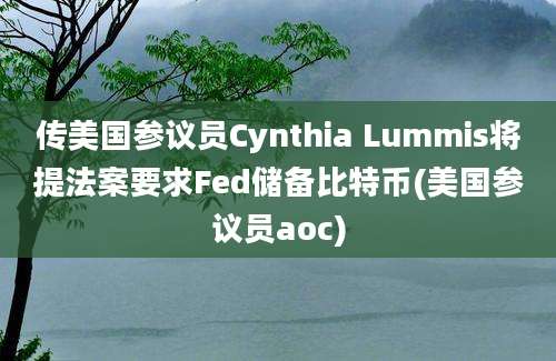 传美国参议员Cynthia Lummis将提法案要求Fed储备比特币(美国参议员aoc)