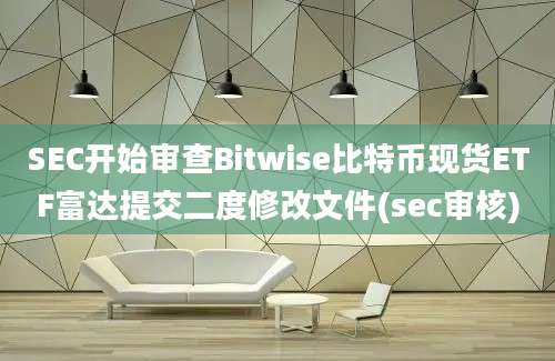 SEC开始审查Bitwise比特币现货ETF富达提交二度修改文件(sec审核)