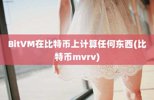 BitVM在比特币上计算任何东西(比特币mvrv)