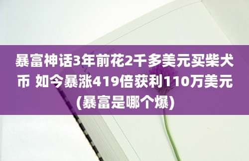 暴富神话3年前花2千多美元买柴犬币 如今暴涨419倍获利110万美元(暴富是哪个爆)