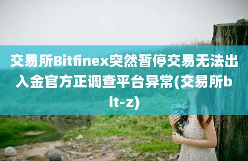 交易所Bitfinex突然暂停交易无法出入金官方正调查平台异常(交易所bit-z)