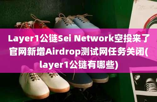 Layer1公链Sei Network空投来了官网新增Airdrop测试网任务关闭(layer1公链有哪些)