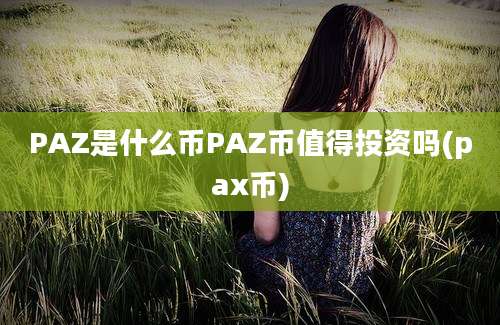 PAZ是什么币PAZ币值得投资吗(pax币)