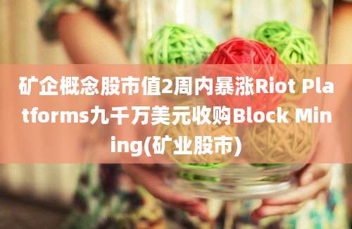 矿企概念股市值2周内暴涨Riot Platforms九千万美元收购Block Mining(矿业股市)