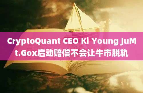 CryptoQuant CEO Ki Young JuMt.Gox启动赔偿不会让牛市脱轨