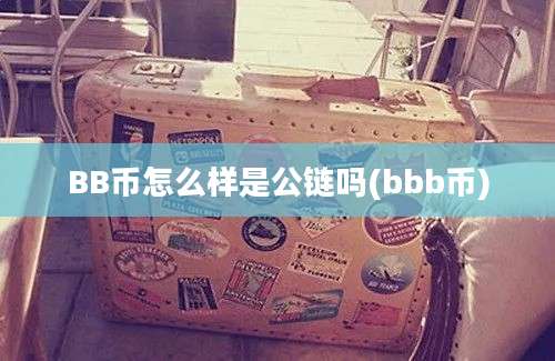 BB币怎么样是公链吗(bbb币)