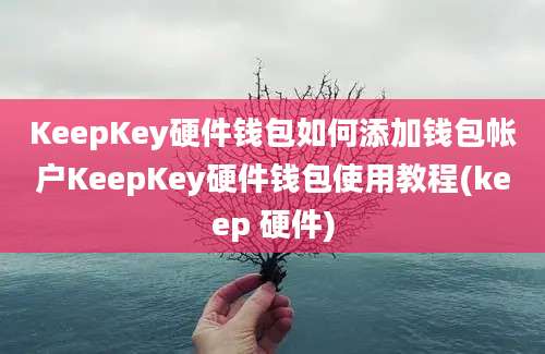 KeepKey硬件钱包如何添加钱包帐户KeepKey硬件钱包使用教程(keep 硬件)