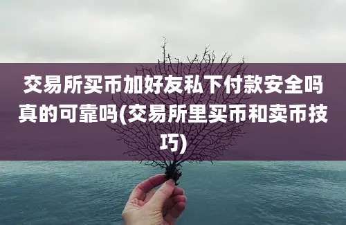 交易所买币加好友私下付款安全吗真的可靠吗(交易所里买币和卖币技巧)