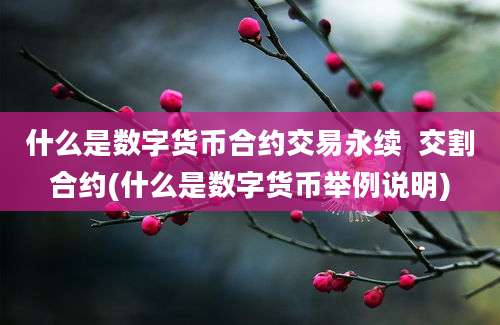 什么是数字货币合约交易永续  交割合约(什么是数字货币举例说明)