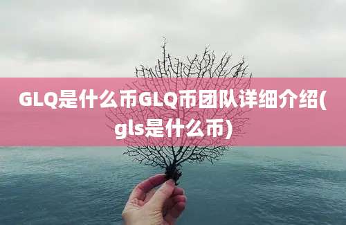 GLQ是什么币GLQ币团队详细介绍(gls是什么币)