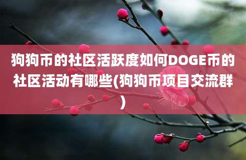 狗狗币的社区活跃度如何DOGE币的社区活动有哪些(狗狗币项目交流群)