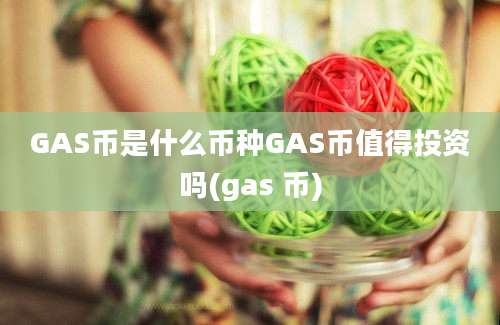 GAS币是什么币种GAS币值得投资吗(gas 币)