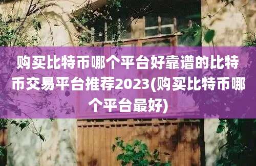 购买比特币哪个平台好靠谱的比特币交易平台推荐2023(购买比特币哪个平台最好)