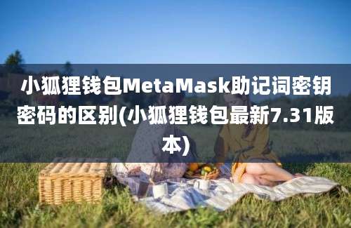 小狐狸钱包MetaMask助记词密钥密码的区别(小狐狸钱包最新7.31版本)