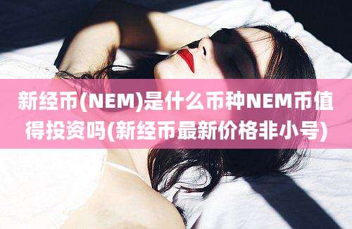 新经币(NEM)是什么币种NEM币值得投资吗(新经币最新价格非小号)