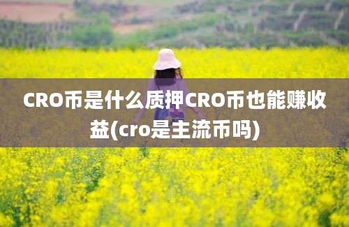 CRO币是什么质押CRO币也能赚收益(cro是主流币吗)