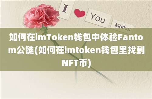 如何在imToken钱包中体验Fantom公链(如何在imtoken钱包里找到NFT币)