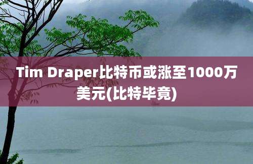 Tim Draper比特币或涨至1000万美元(比特毕竟)