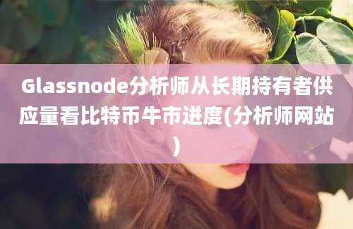 Glassnode分析师从长期持有者供应量看比特币牛市进度(分析师网站)