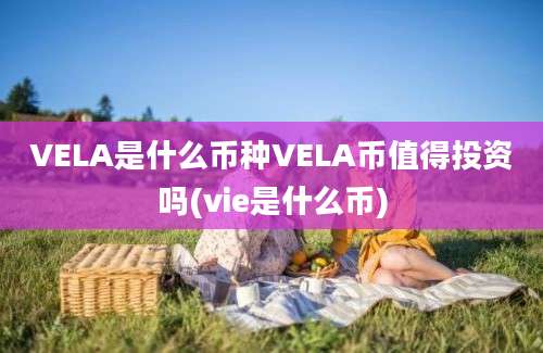 VELA是什么币种VELA币值得投资吗(vie是什么币)