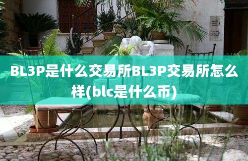 BL3P是什么交易所BL3P交易所怎么样(blc是什么币)