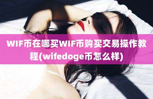 WIF币在哪买WIF币购买交易操作教程(wifedoge币怎么样)